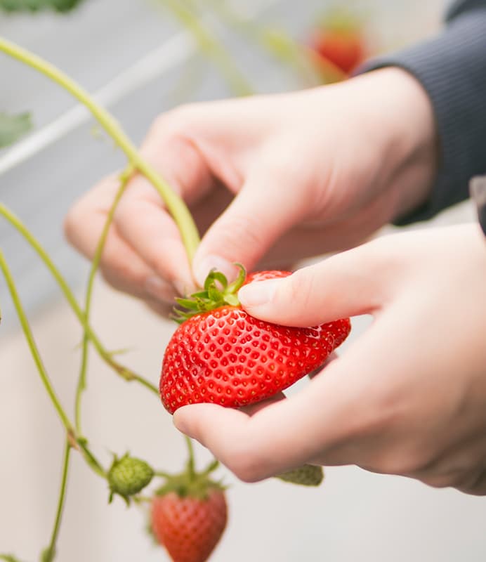 夢ランタン祭り 写真1